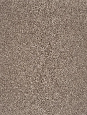 Ковролин AW Terra 49 фото 1 | FLOORDEALER